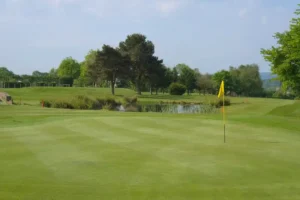 Read more about the article Best Golf Society Formats, Competitions & Handicaps for a Fun Day Out